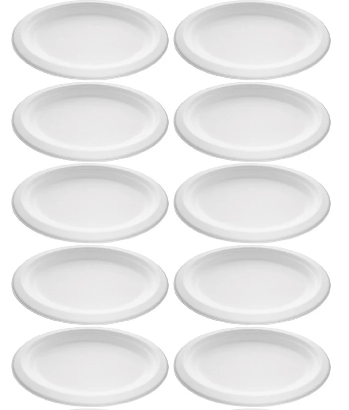 10 x Bagasse Plate Oval Rigid 10.5 X 8
