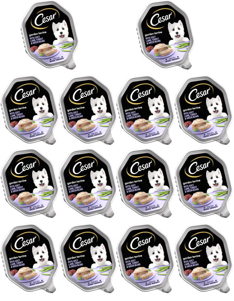 14 x Cesar Garden Terrine Turkey Lamb & Green Beans 150G