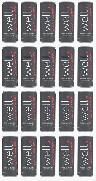 20 x Well Canned Water Sparkling