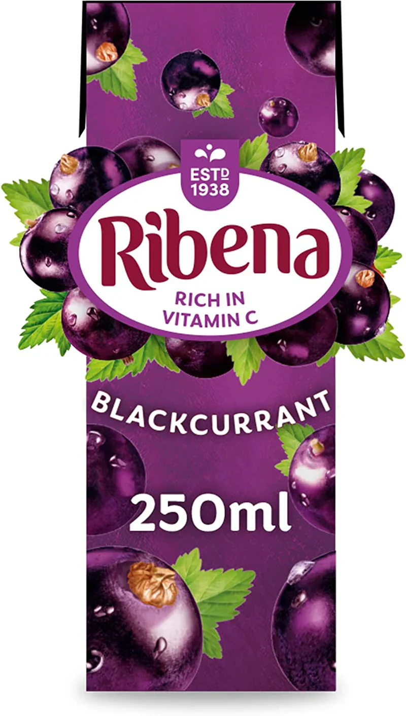 24 x Ribena Blackcurrant Juice Drink Carton 250Ml - Image 3