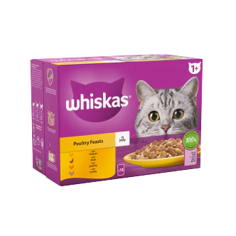 4 x Whiskas Cat 1+ Pouch Jelly Poultry Feast 12 Pack - 12X85Gm - Image 3